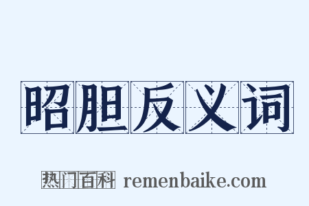 昭胆反义词是什么意思的图片